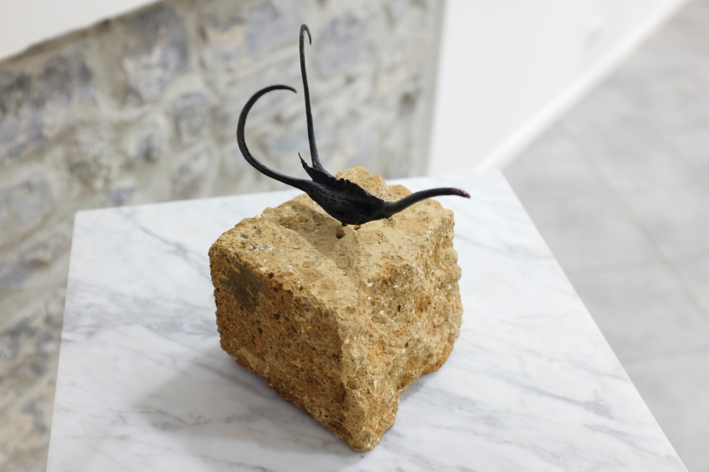 A FIRST FOR&nbsp;ALL