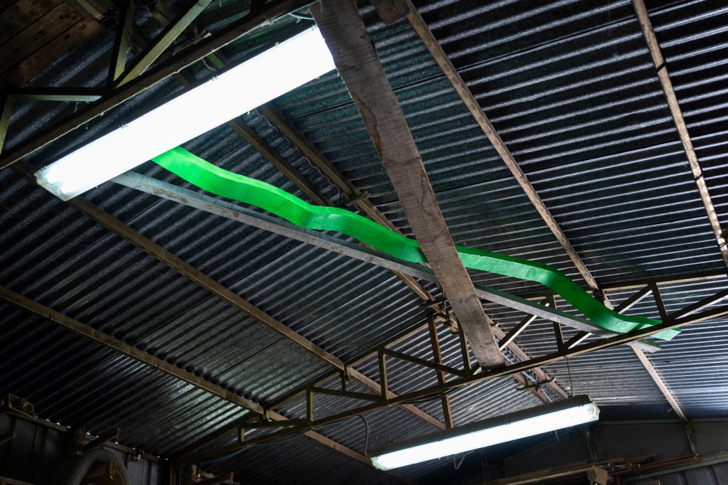 FALEGNAMERIA MESSORI